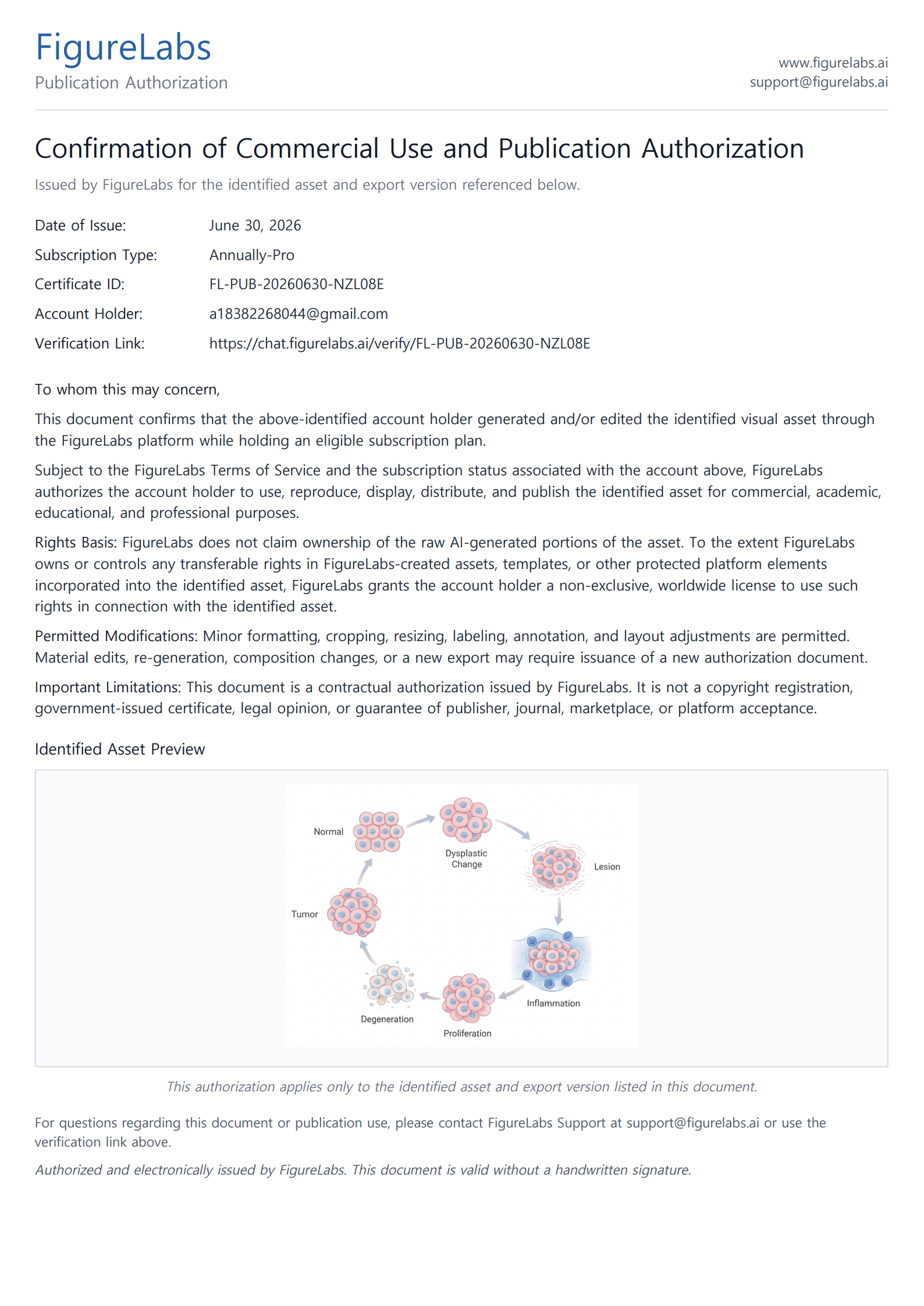 Publication authorization certificate preview