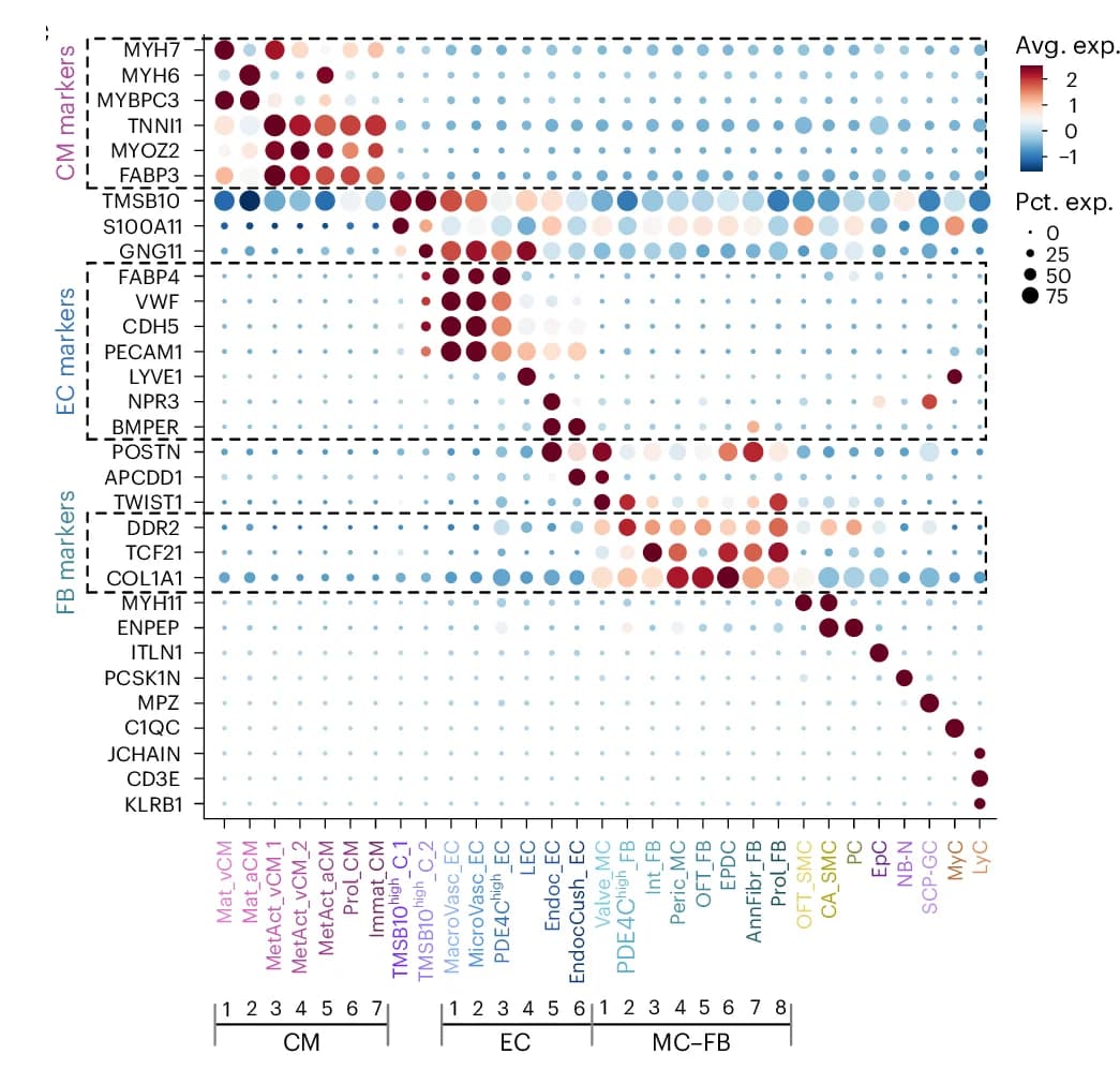 Dot plot matrix of cell marker expression across cell types