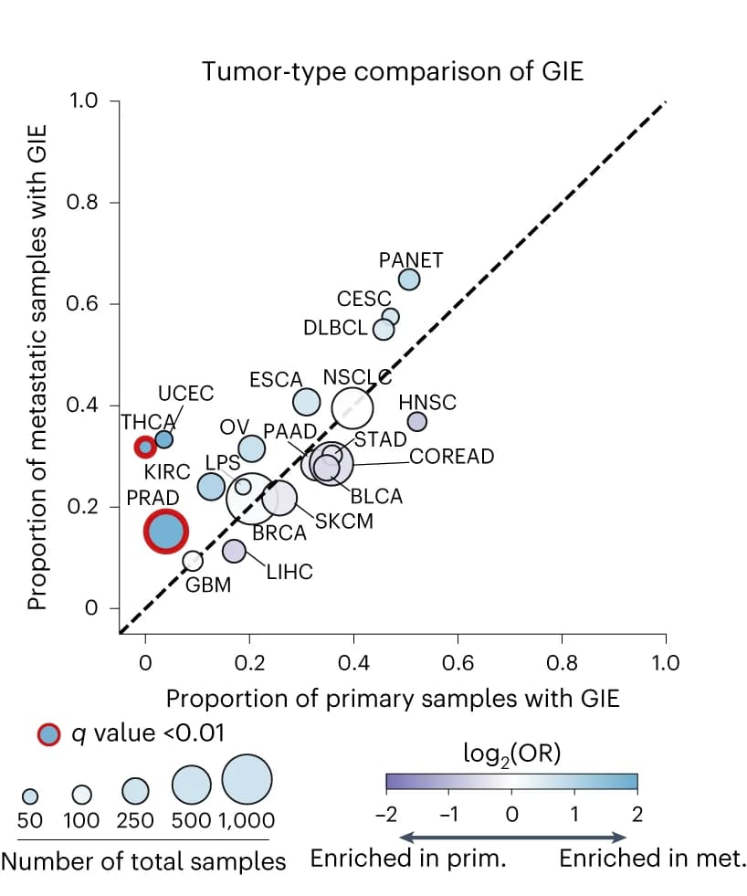 Bubble plot comparing GIE proportions across tumor types