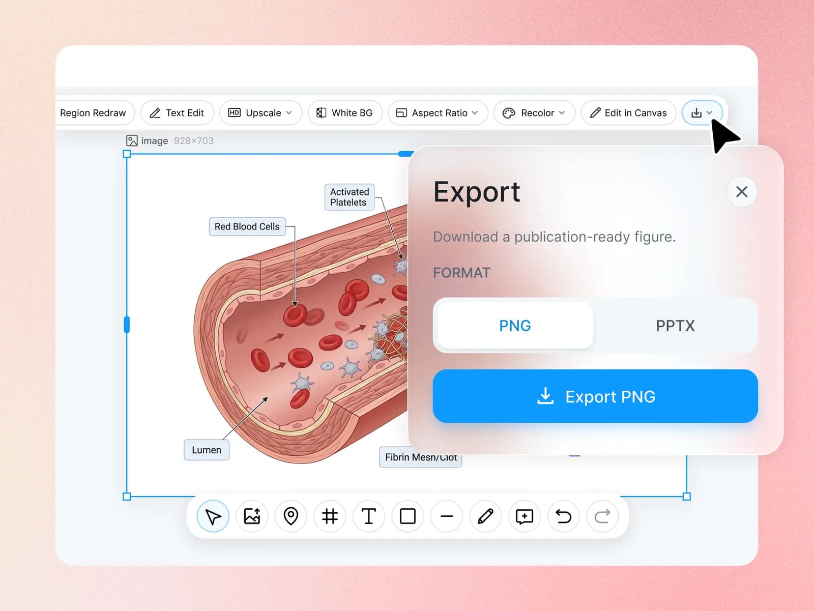 Export dialog over a vessel illustration, with PNG selected