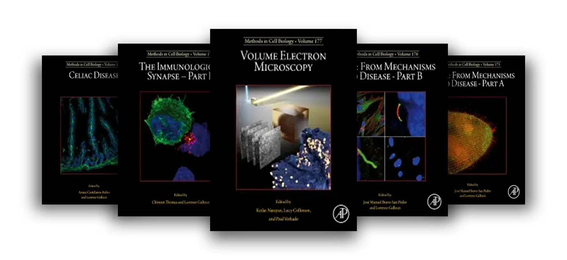 Journal Policy Comparison