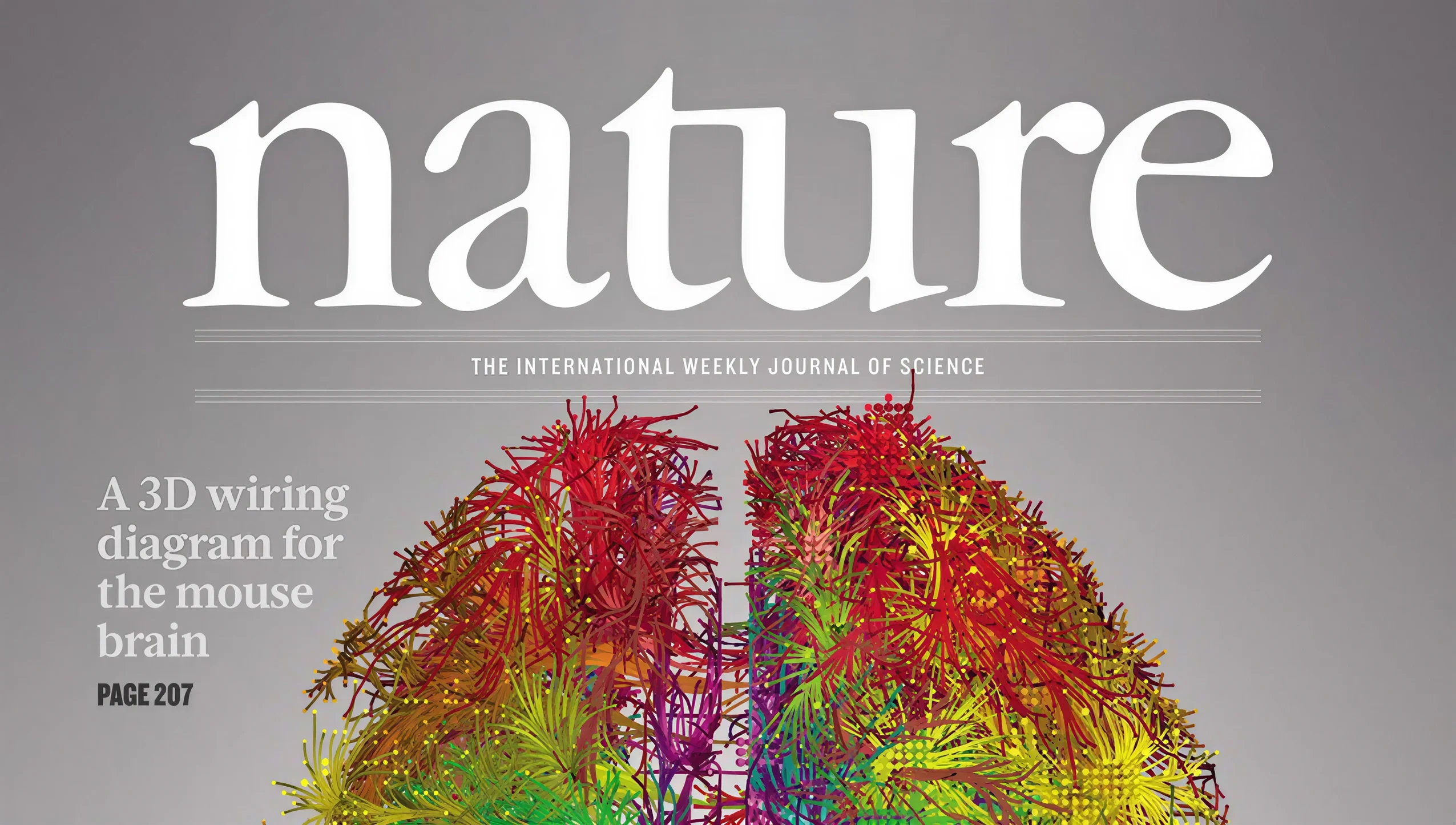 Nature Policy Compliance