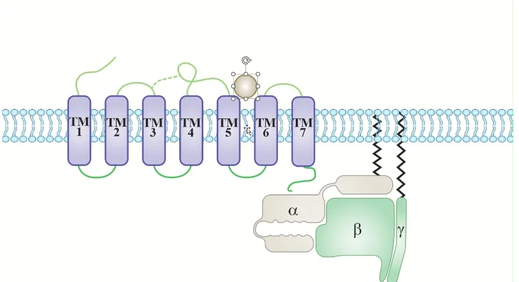 BioDraws Interface