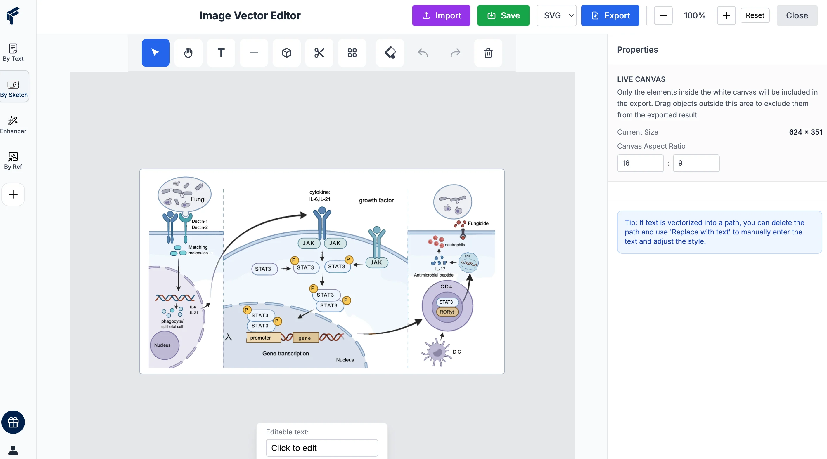 SVG Editor Interface